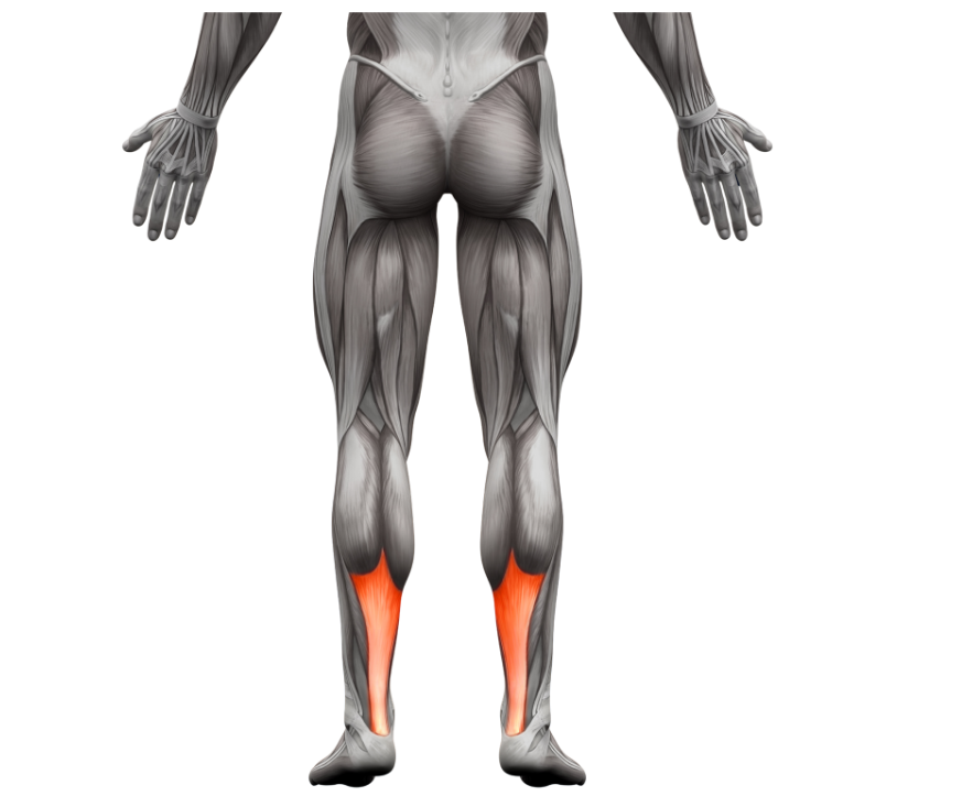 Injury & Rehab Blog: Shin Splints